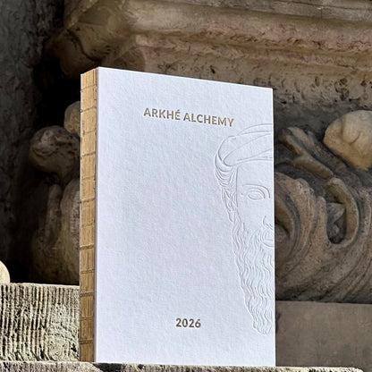 Дневник трансформации 2026