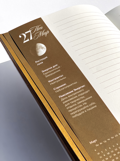 Дневник трансформации 2026