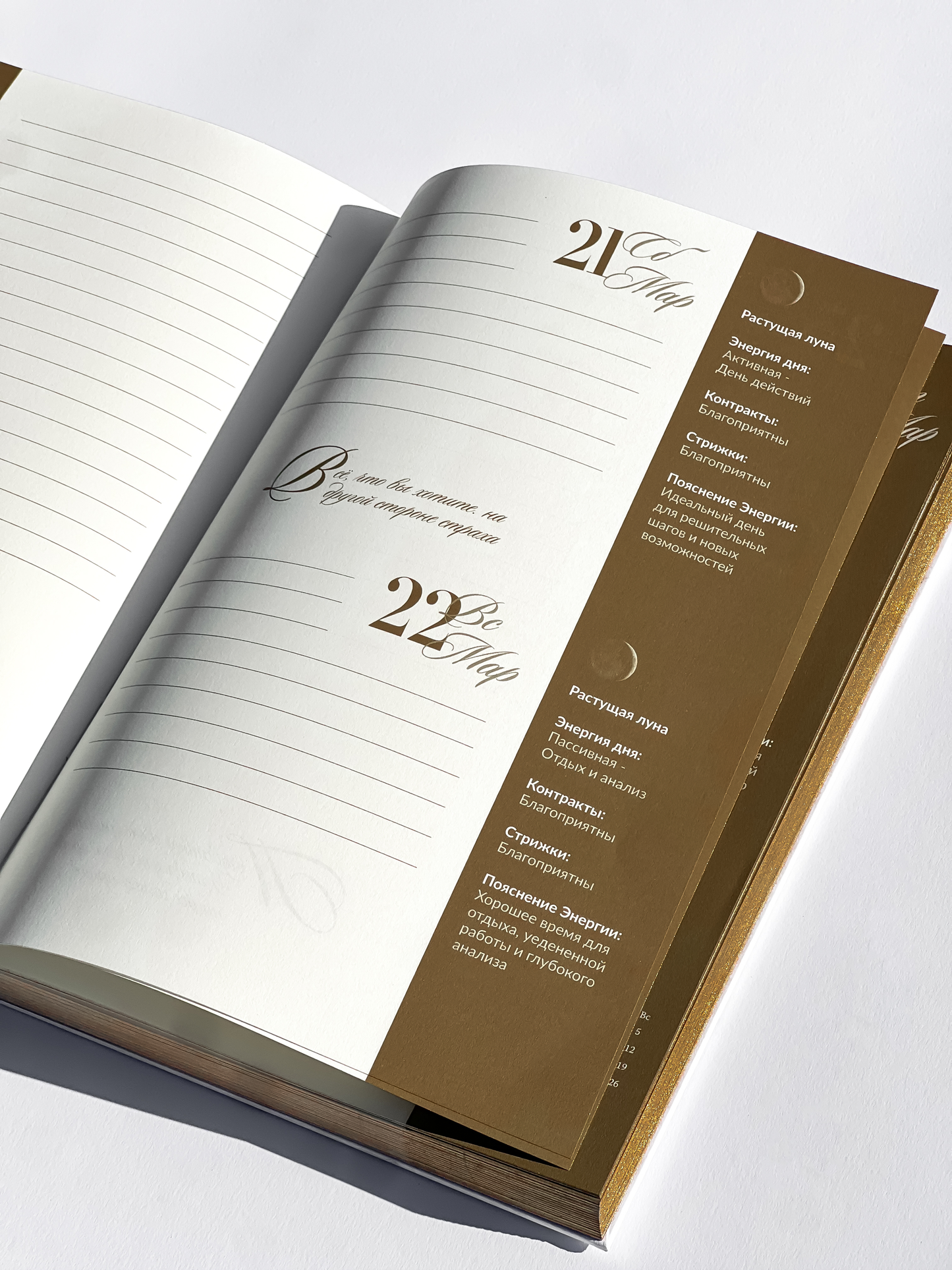 Дневник трансформации 2026