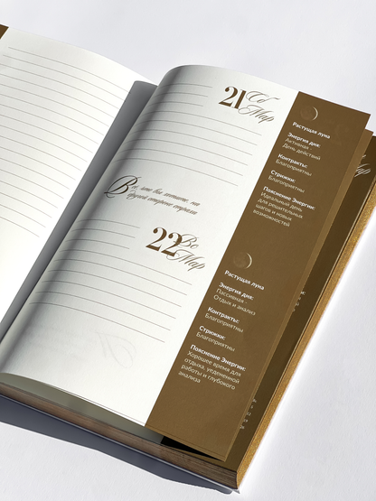 Дневник трансформации 2026