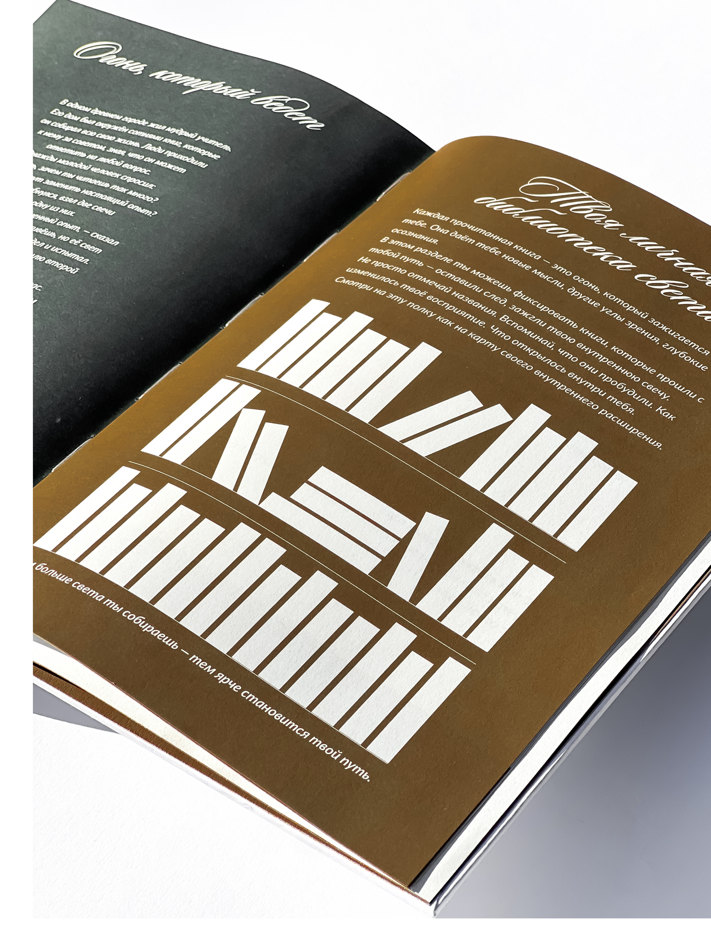 Дневник трансформации 2026